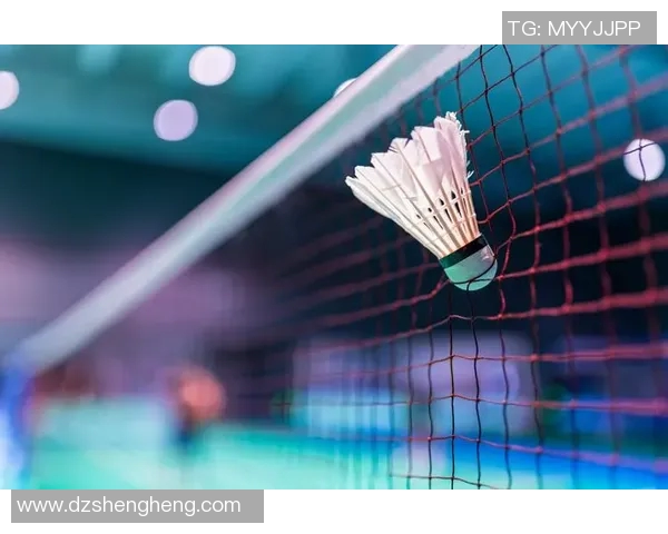 对话羽毛球明星张伟探讨他的职业生涯与未来发展方向