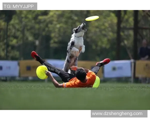 深圳飞盘队在极限运动世界杯中的强势表现与战术分析