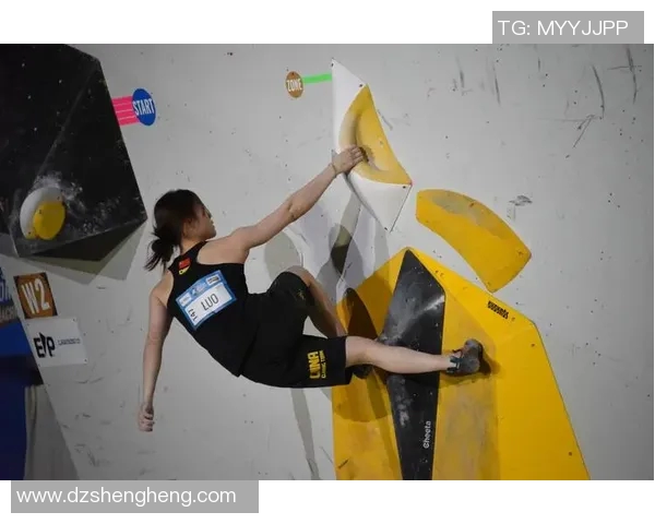 重庆攀岩队与南京攀岩队赛后战术分析与总结探讨