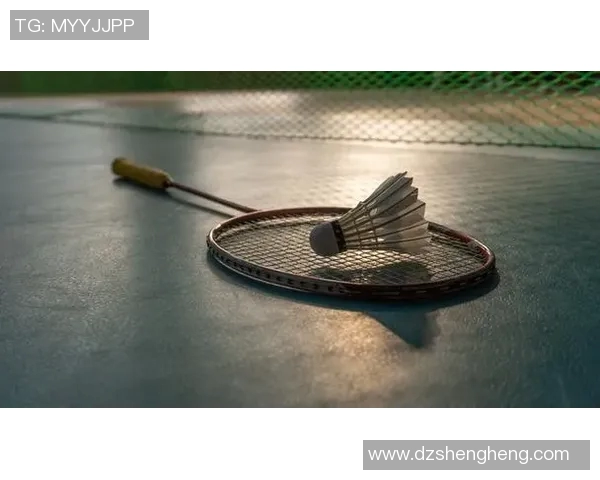 羽毛球纪实：见证杭州羽毛球队从传统到现代的蜕变历程