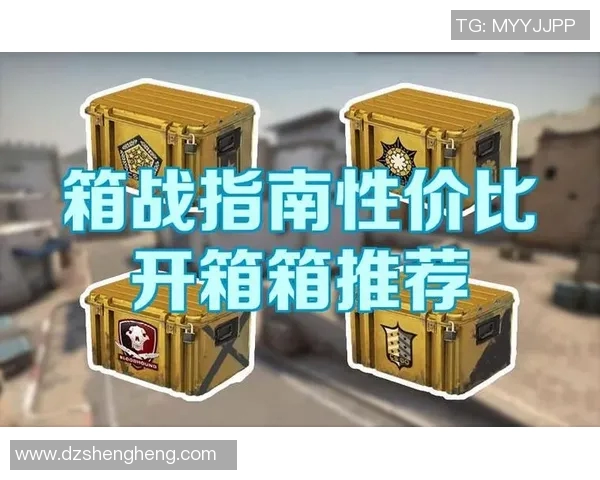 V5战队在CSGO比赛中的防守与反击策略分析及其成效评估