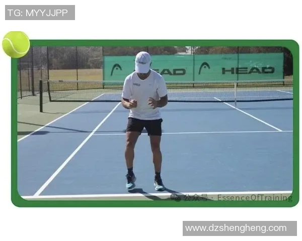 南京网球队的灵活性揭秘:网球巨献背后的训练与技巧分析